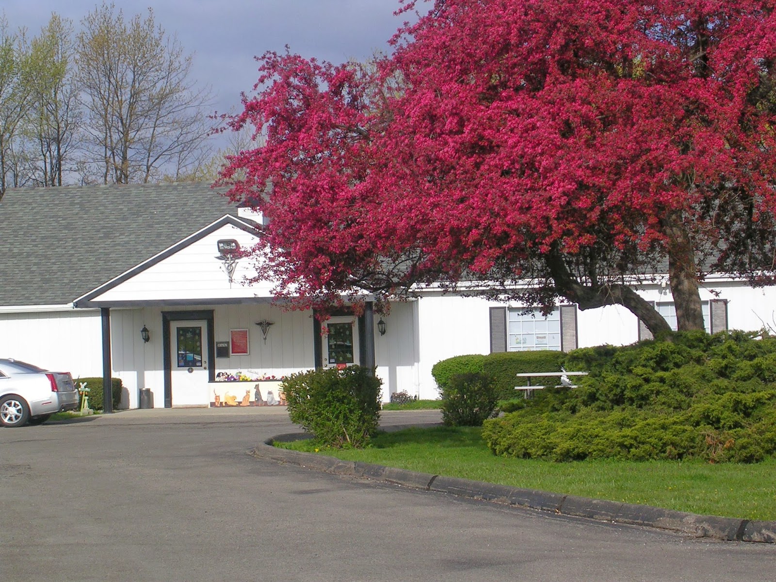 Ash Veterinary Clinic - Carleton , United States