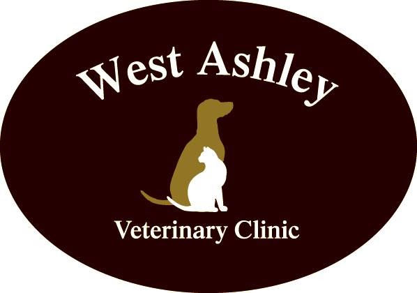 West Ashley Veterinary Clinic - Charleston , United States