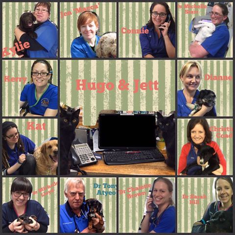 Gawler Veterinary Clinic - Willaston , Australia