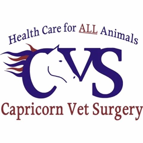 Capricorn Vet Surgery - Allenstown , Australia