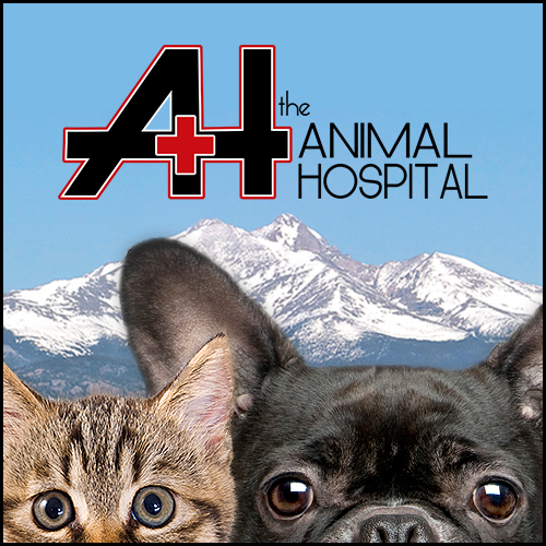 The Animal Hospital - Longmont , United States