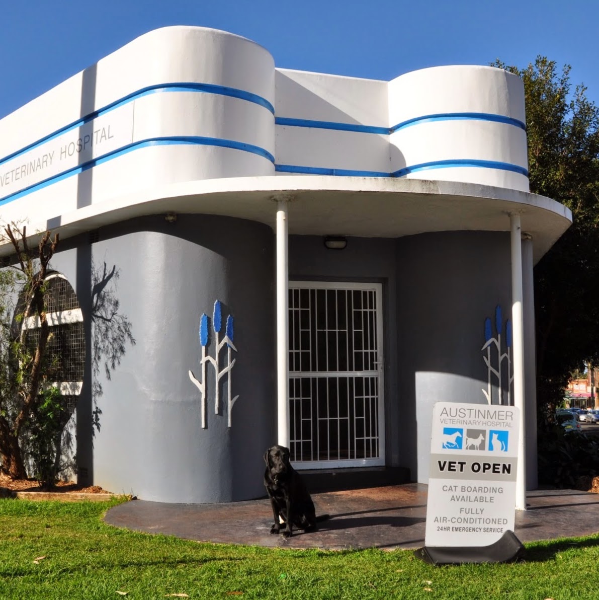 Austinmer Veterinary Hospital - Austinmer , Australia