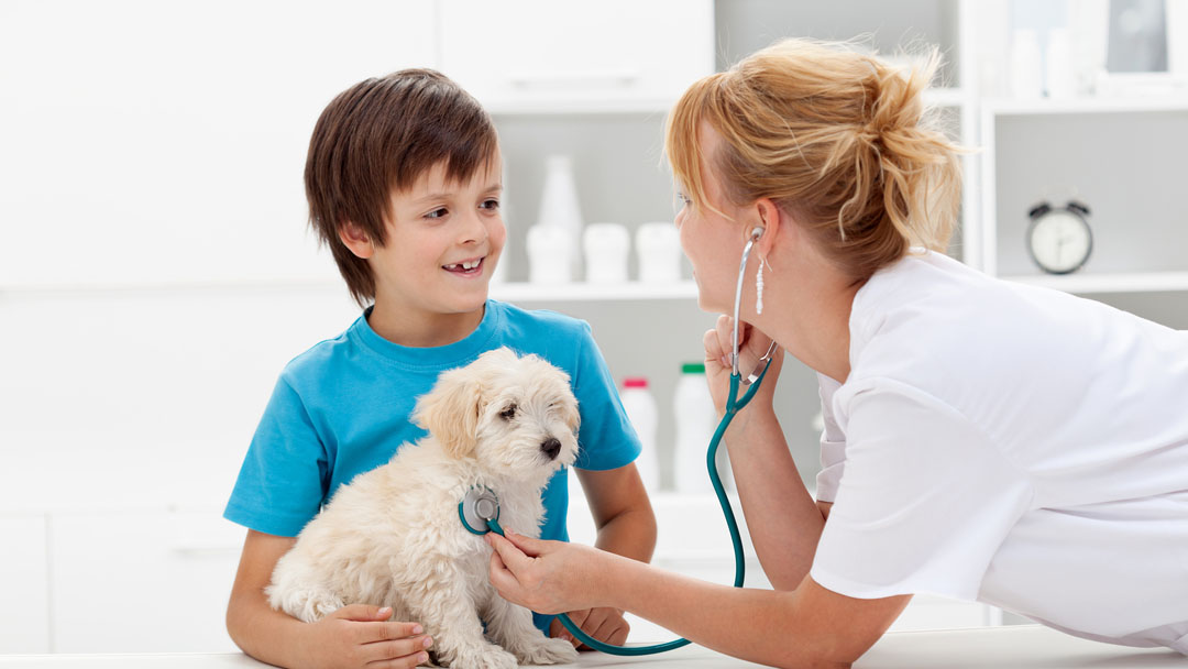 Oaks North Animal Hospital - San Antonio , United States