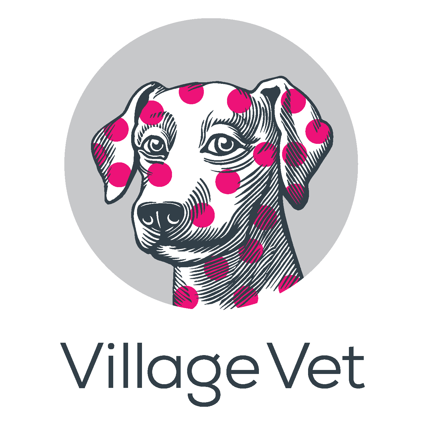 Village Vet Kensal Green - London , United Kingdom