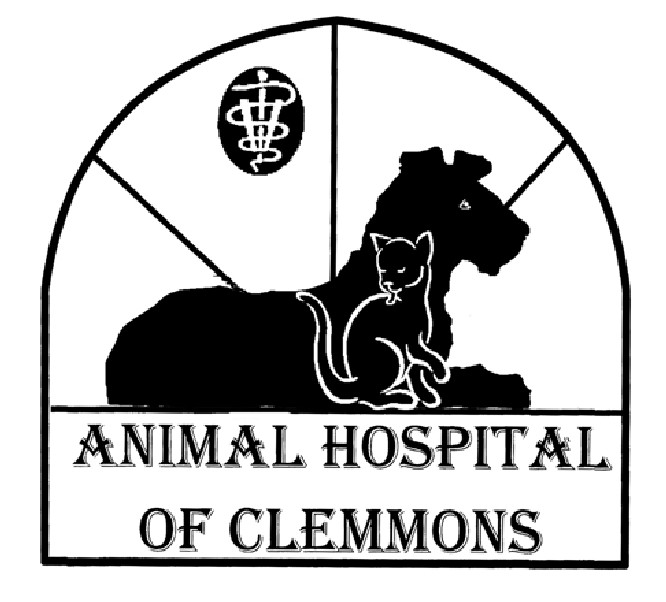 Animal Hospital Of Clemmons - Clemmons , United States