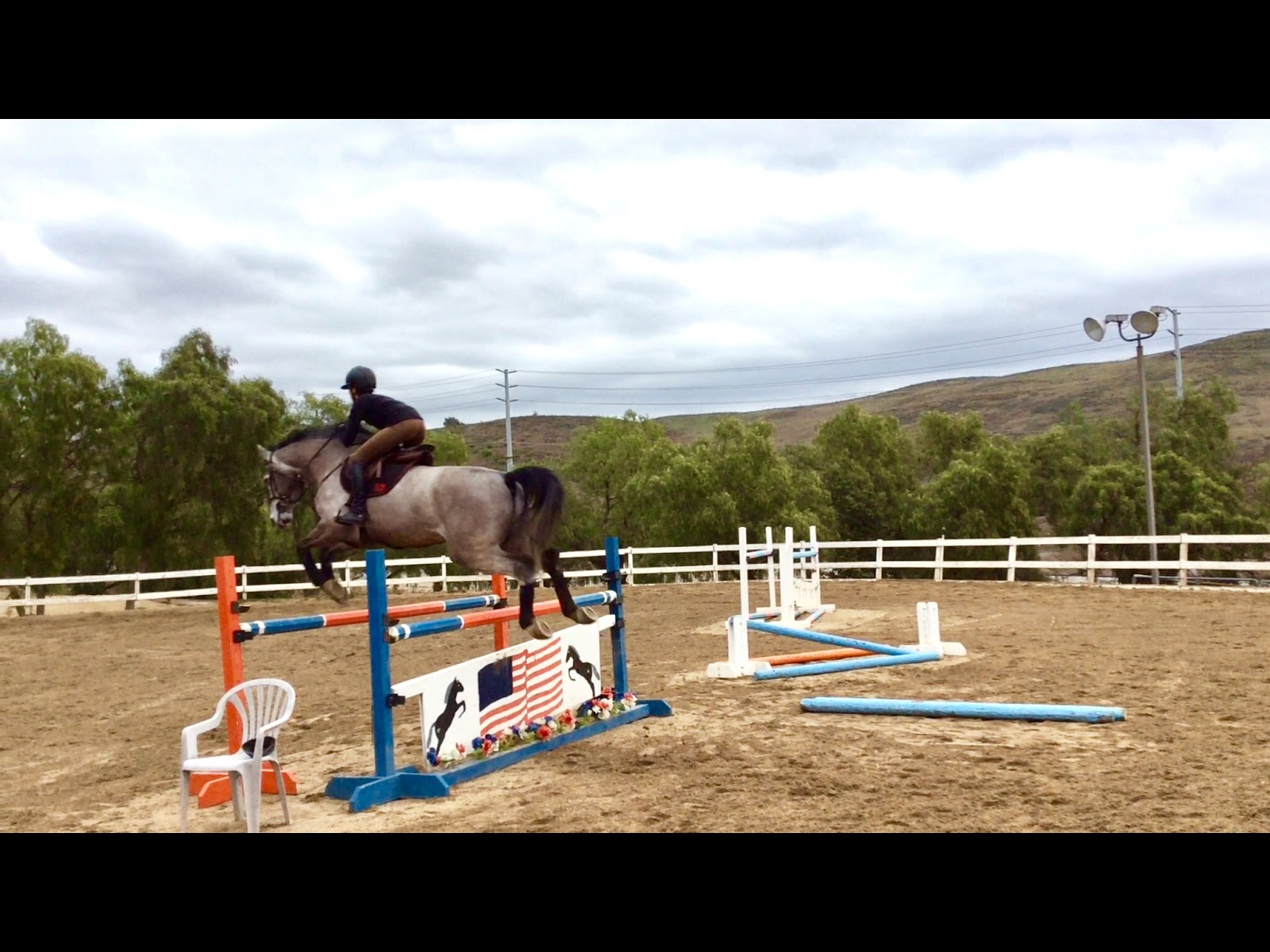 Progressive Equine - Camarillo , United States