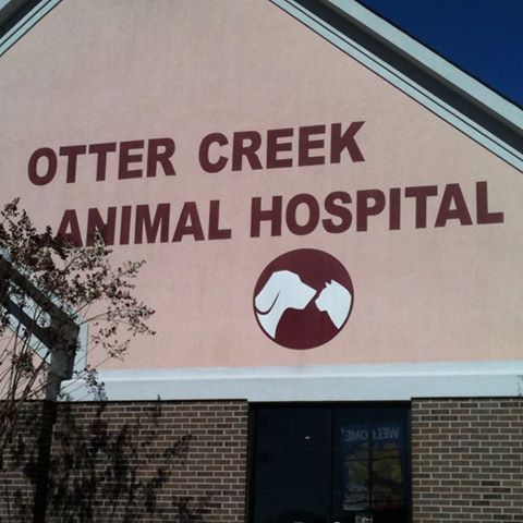Otter Creek Animal Hospital - Little Rock , United States