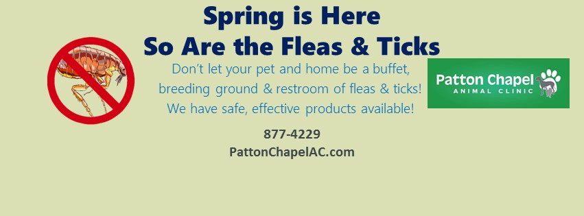Patton Chapel Animal Clinic - Hoover , United States
