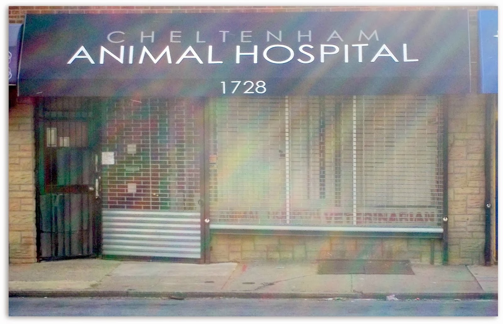 Cheltenham Animal Hospital - Philadelphia , United States