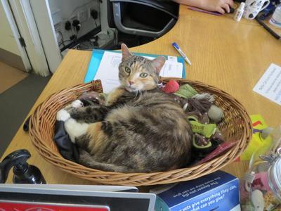 Business's Photo