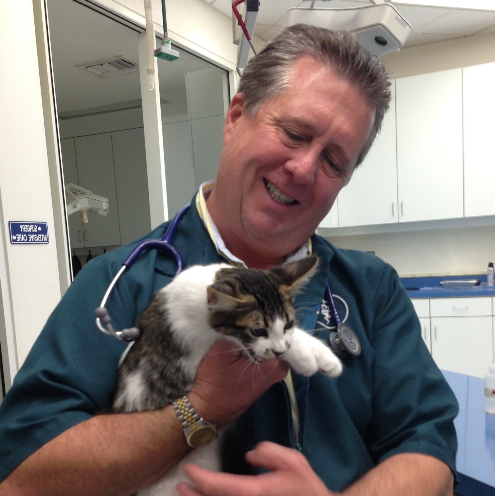 Family Member Veterinary Hospital The Animal Doctors Of Mission Viejo - Mission Viejo , United States