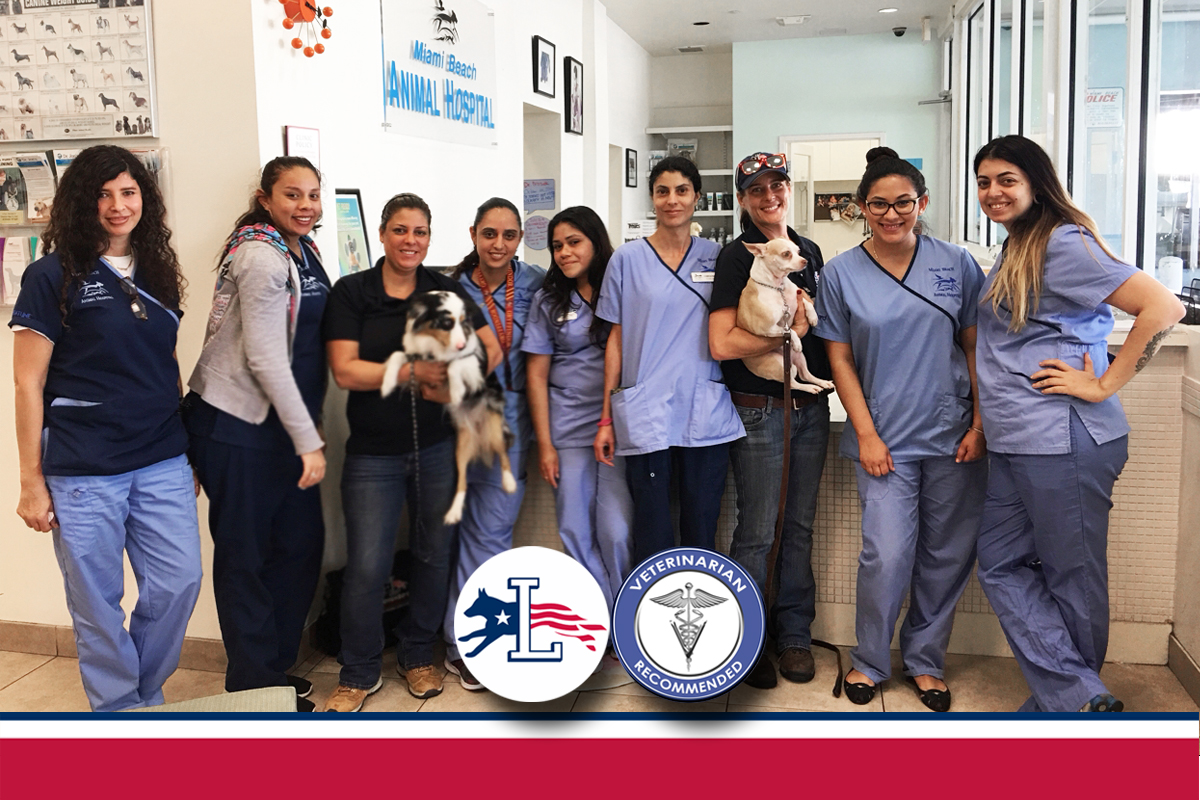 VCA Miami Beach Animal Hospital - Miami Beach , United States