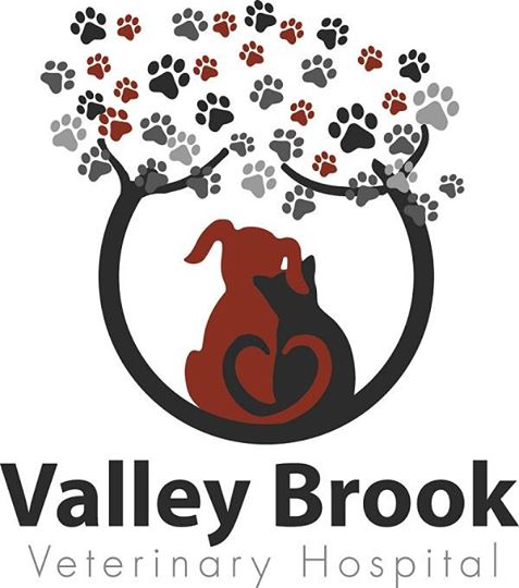Valley Brook Veterinary Hospital - Fair Lawn , United States