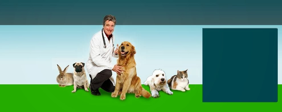 St Paul Veterinary Clinic - Milwaukee , United States