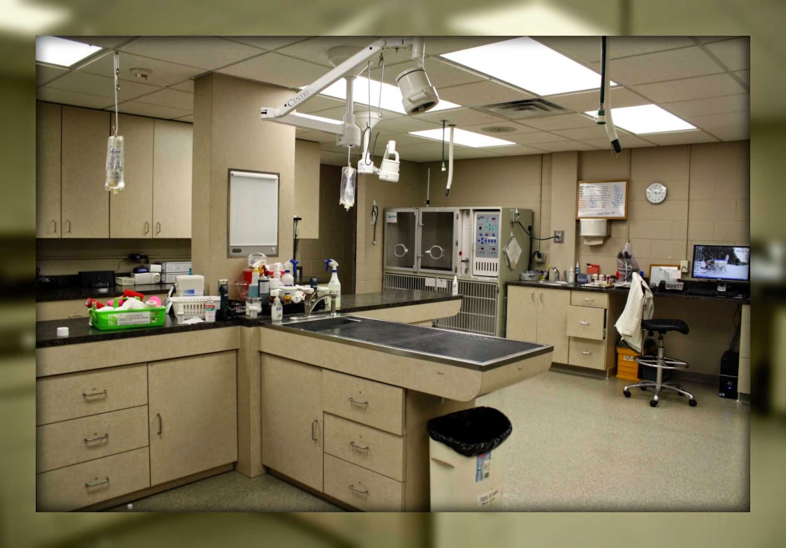 Kimberly Crest Veterinary Hospital And Specialty Services - Davenport , United States