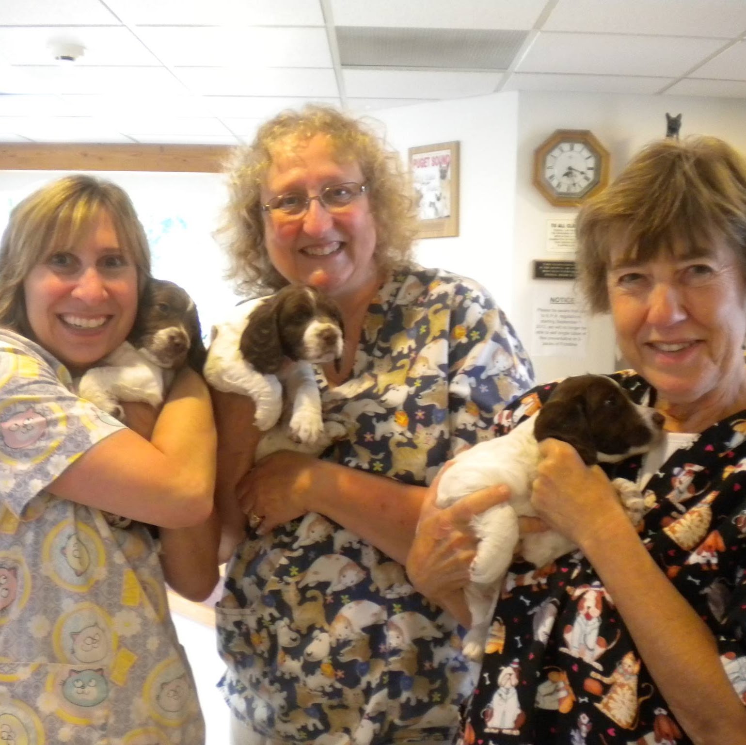 Cascade Veterinary Hospital - Federal Way , United States