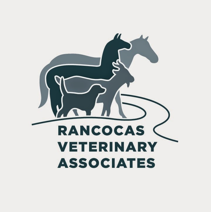 Rancocas Veterinary Associates - Mt Laurel Township , United States