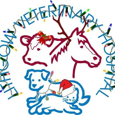 Lithgow Veterinary Hospital - Lithgow , Australia