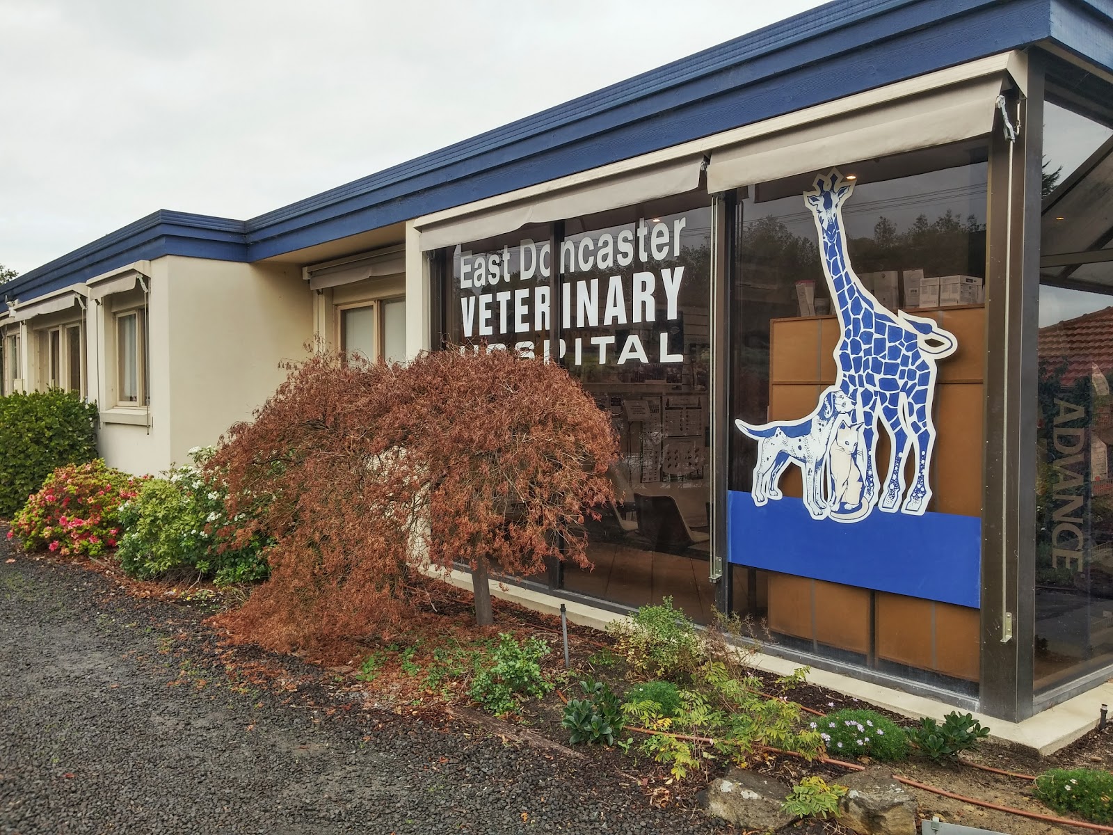 East Doncaster Veterinary Hospital - Templestowe , Australia