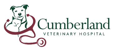 Cumberland Veterinary Clinic - Saskatoon , Canada