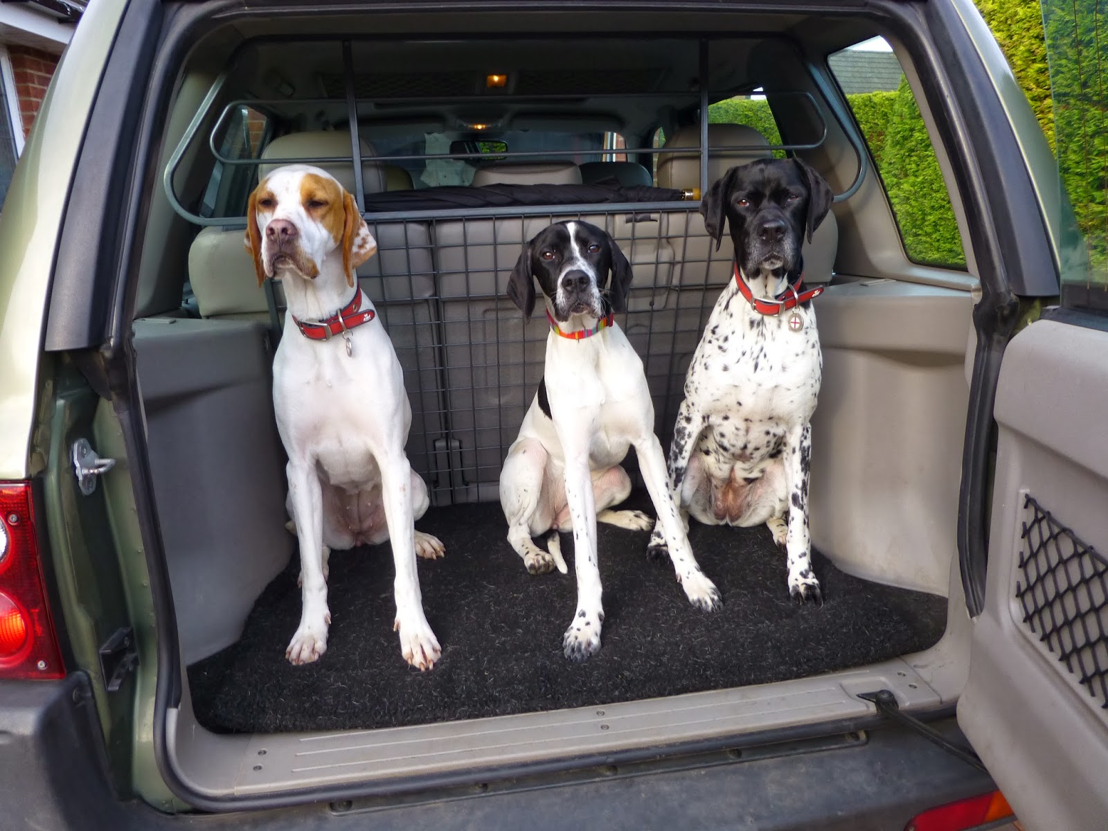The Village Veterinary Centre - Cramlington , United Kingdom