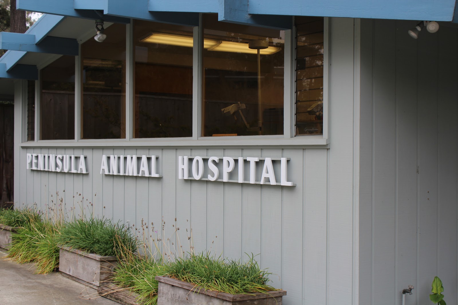 Peninsula Animal Hospital - Carmel-By-The-Sea , United States