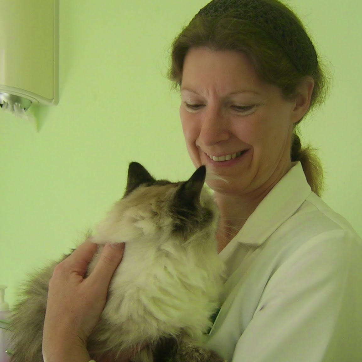 Exclusively Cats Veterinary Centre - Ayr , United Kingdom