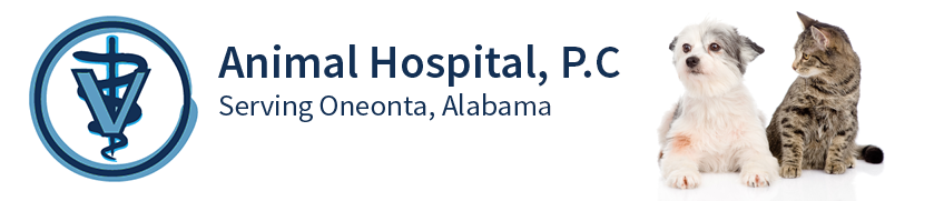 Animal Hospital Pc - Oneonta , United States