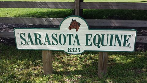 Sarasota Equine Veterinary Services - Sarasota , United States