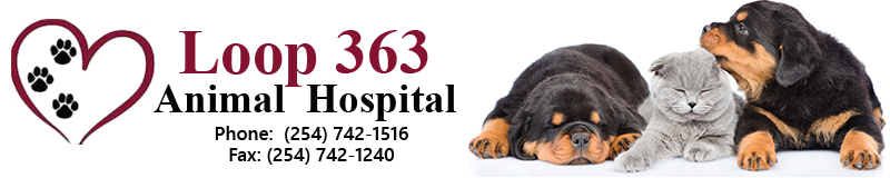 Loop 363 Animal Hospital - Temple , United States