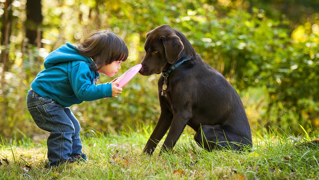 Mann Vet Clinic - Galena , United States