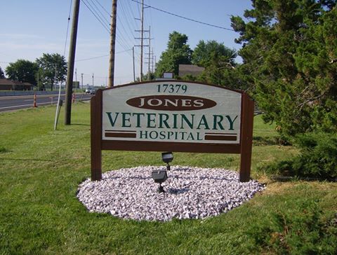 Jones Veterinary Hospital: Jones John A Dvm - Bowling Green , United States
