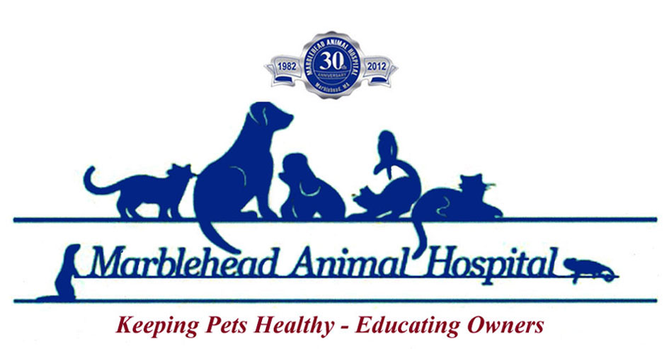 Marblehead Animal Hospital - Marblehead , United States