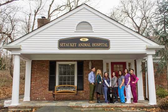 Setauket Animal Hospital - Setauket- East Setauket , United States