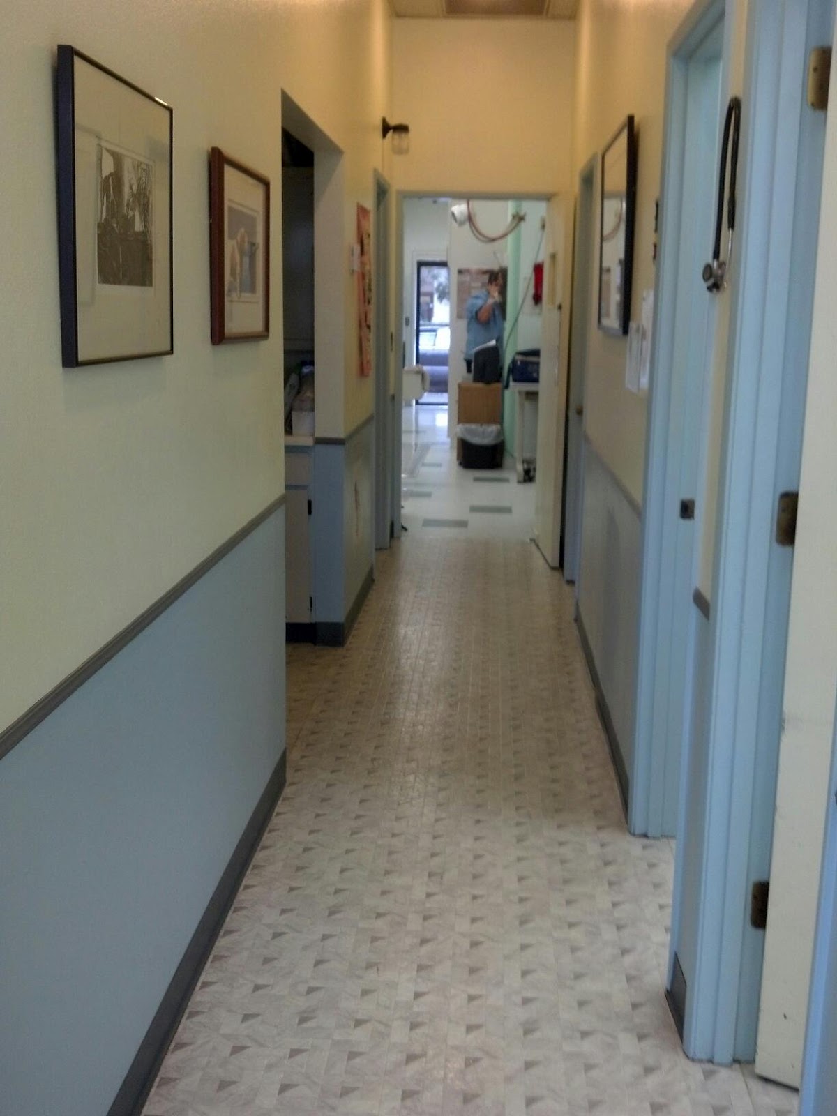 Animal Medical Clinic - Carpinteria , United States