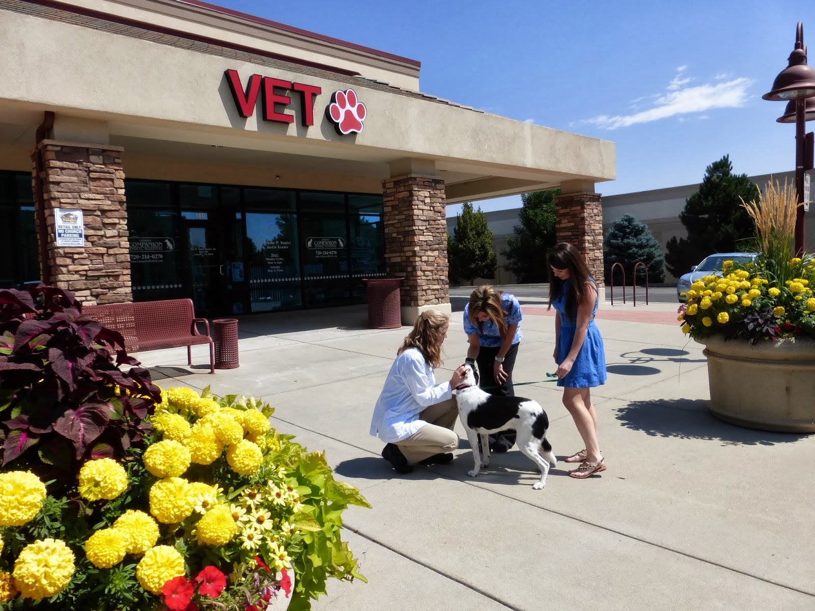 Lafayette Companion Animal Hospital - Lafayette , United States