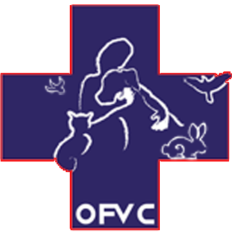 Oak Flats Veterinary Clinic - Oak Flats , Australia