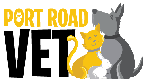 Port Road Vet Clinic - West Croydon , Australia