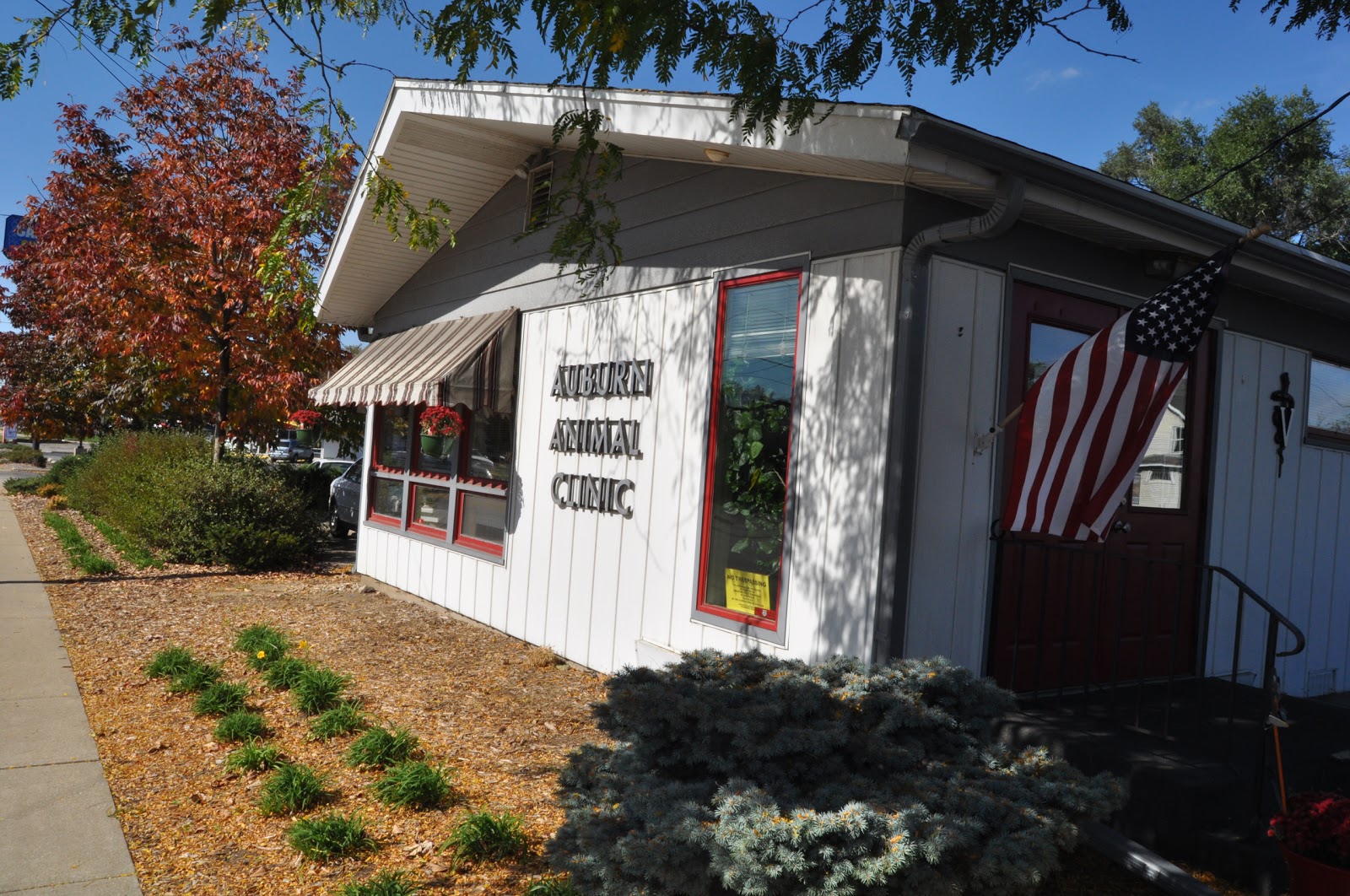 Auburn Animal Clinic - Rockford , United States