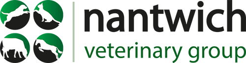 Medivet 24 Hour Nantwich Nantwich Pet Vets - Nantwich , United Kingdom