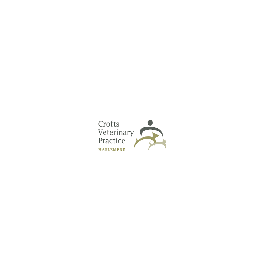 Crofts Veterinary Surgery Haslemere - Haslemere , United Kingdom