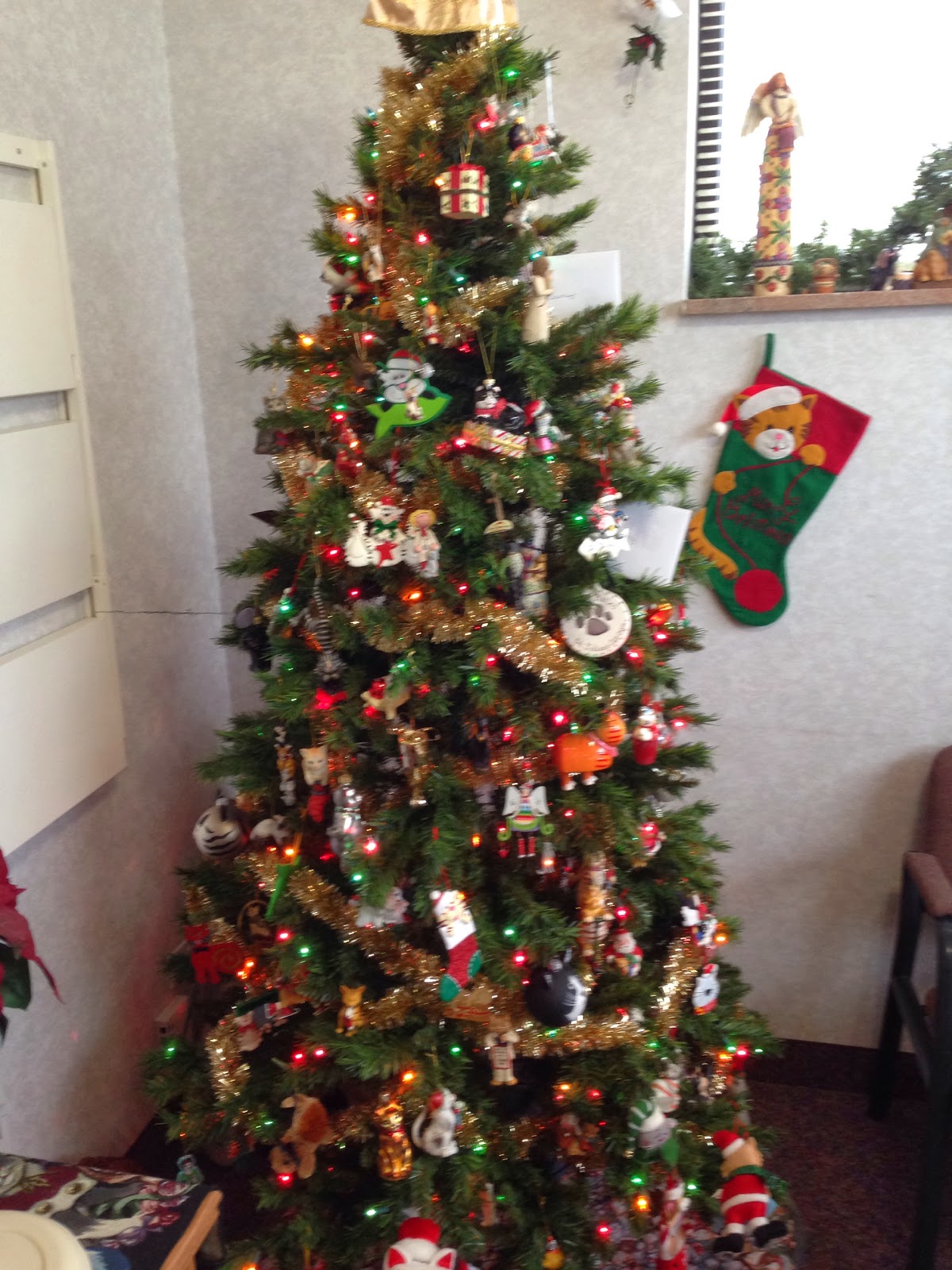 Saint Julians Cat Care - Dearborn Heights , United States