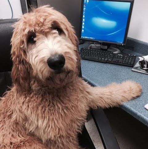 Ames Pet Hospital - Ames , United States