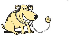 Town And Country Vet - Wakefield , New Zealand