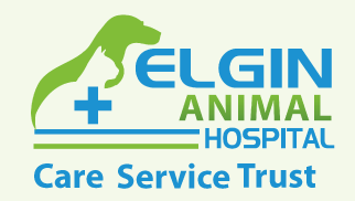 Elgin Animal Hospital - St Thomas , Canada