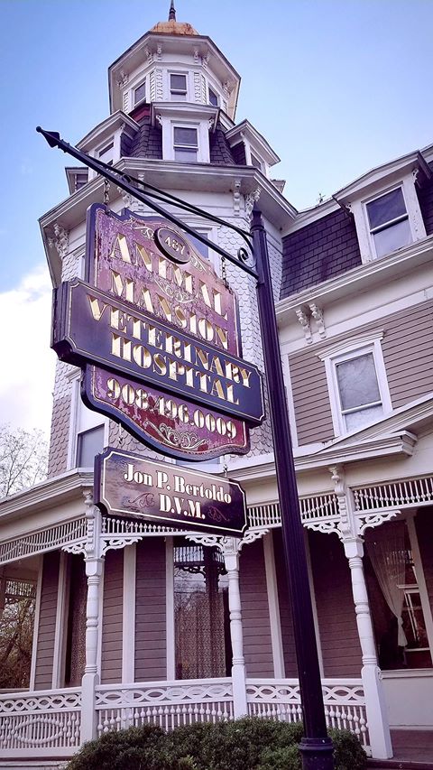 Animal Mansion Veterinary Hospital - Columbia , United States