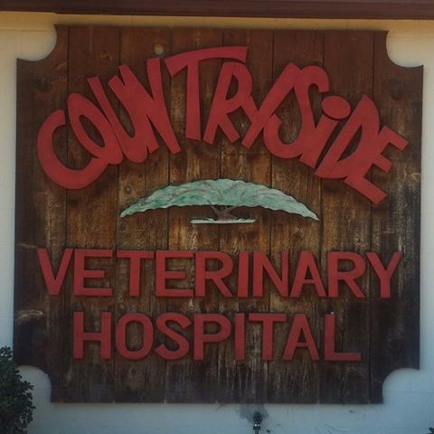 Countryside Veterinary Care - Gallatin , United States