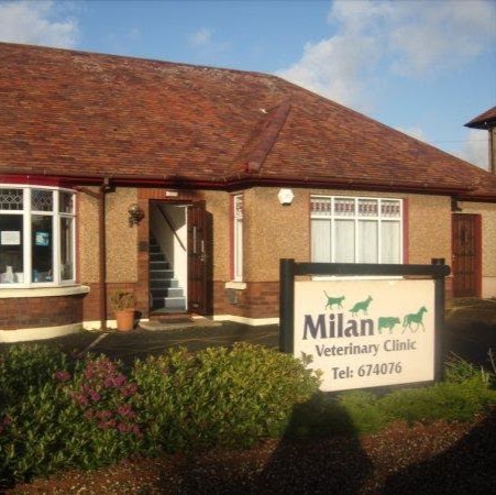 Milan Veterinary Practice - Douglas, Isle of Man , United Kingdom