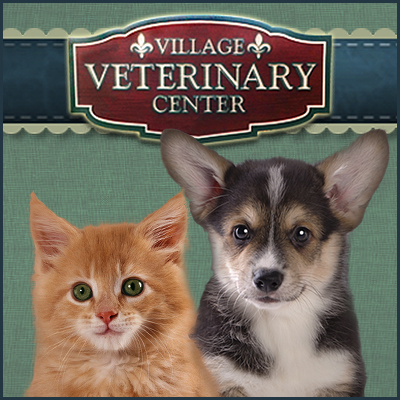 Village Veterinary Center - Youngsville , United States