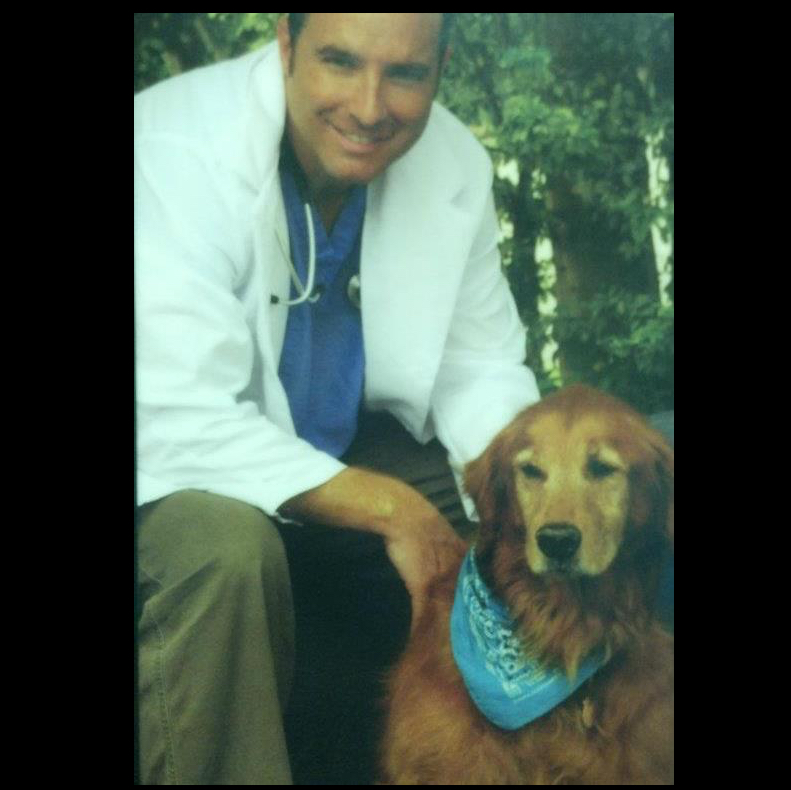 Island Veterinary Hospital - Miami , United States